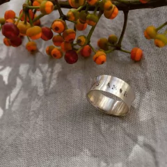 Anillo Fausta fraseada en internet