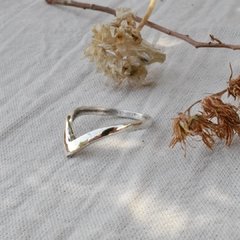 Anillo Victoria en internet