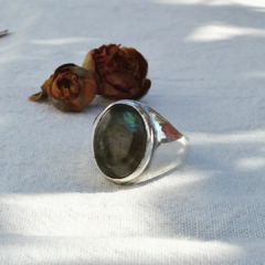 Anillo Suzette en internet