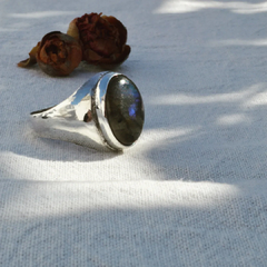 Anillo Suzette en internet