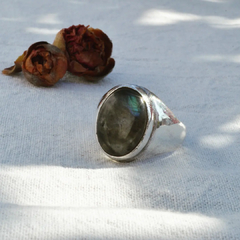 Anillo Suzette - comprar online