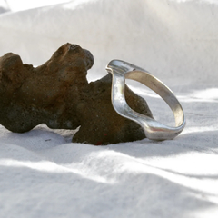 Anillo Shell en internet