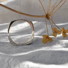 Anillo Bogotá - Hojarasca