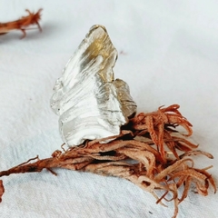 Anillo África - Hojarasca