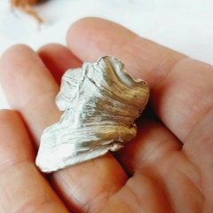 Anillo África en internet