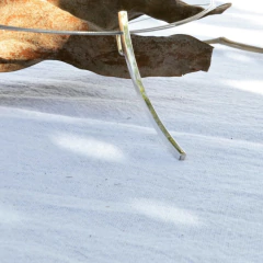 Dije Tobogán en internet