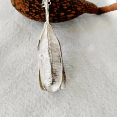 Dije Aloe en internet