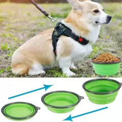 Plato plegable para alimento agua mascotas en internet
