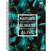CADERNO 1X1 CD 96F KBOM MASCULINO - SÃO DOMINGOS - comprar online