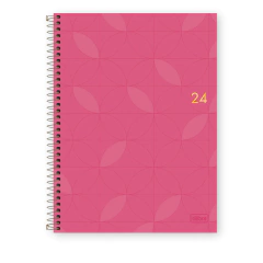 AGENDA EXECUTIVA 2025 FEMININA ESPIRAL DIARIA SPOT - TILIBRA - comprar online