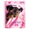 CADERNO 1X1 CD PET'S 3545 - SÃO DOMINGOS na internet