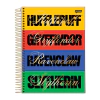 CADERNO UNIVERSITARIO HARRY POTTER 10 MATERIAS - JANDAIA