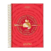 CADERNO UNIVERSITARIO HARRY POTTER 10 MATERIAS - JANDAIA - comprar online