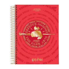 CADERNO UNIVERSITARIO HARRY POTTER 10 MATERIAS - JANDAIA - comprar online