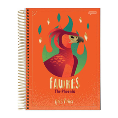 CADERNO HARRY POTTER ESPIRAL 96F 1 MATERIA - JANDAIA na internet