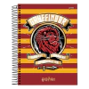 CADERNO HARRY POTTER ESPIRAL 96F 1 MATERIA - JANDAIA - comprar online