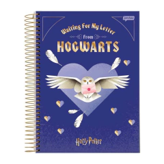 CADERNO UNIVERSITARIO HARRY POTTER 10 MATERIAS - JANDAIA na internet