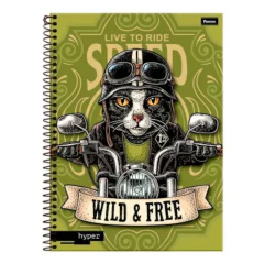 CADERNO 1X1 HYPER SORTIDO 80 FOLHAS - FORONI na internet