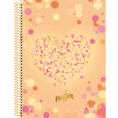 CADERNO 15X1 PASSION 240 FOLHAS - SAO DOMINGOS - loja online