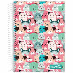 CADERNO UNIVERSITARIO 10X1 STELLA 160F - JANDAIA na internet