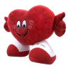 CORAÇÃO DE PELUCIA 22CM - FOFY na internet