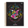 CADERNO UNIVERSITARIO HARRY POTTER 200F 10X1 - JANDAIA - comprar online