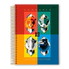 CADERNO UNIVERSITARIO HARRY POTTER 200F 10X1 - JANDAIA na internet
