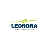 COLA DE SILICONE LIQUIDA 54G 60ML - LEOARTE na internet