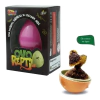 OVO REPTIL SURPRESA MINIATURA INFANTIL SORTIDO - ZOOP TOYS - loja online