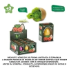 KIT OVO DINO SURPRESA 12 UN - ZOOP TOYS