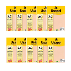 PAPEL VERGE A4 180G COM 50 FOLHAS SALMÃO 10UN - USAPEL - comprar online