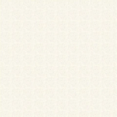 PAPEL PÉRSICO A4 180G COM 50 FOLHAS COR BRANCO 10UN - USAPEL - comprar online