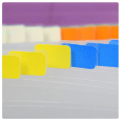 PASTA SANFONADA PLASTICA A4 31 DIV ROSA - DAC na internet