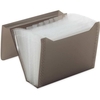 PASTA SANFONADA PLASTICA A4 31 DIV FUME - POLIBRAS - comprar online