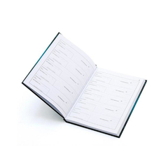 LIVRO PROTOCOLO CORRESPONDENCIA 1/4 104F - SAO DOMINGOS na internet