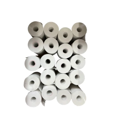 BOBINA TERMICA 5X30 BRANCA 20 UNIDADES - REGISPEL - comprar online