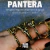 Anel Pantera - comprar online