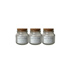 Set x 2 Especieros 250cc - Tapa Metálica