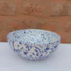 Bowl ramen bluerain