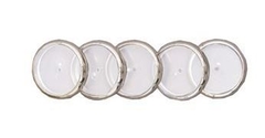 DISCOS + ELÁSTICO - M (23MM) - CADERNO INTELIGENTE - COR: PRATA