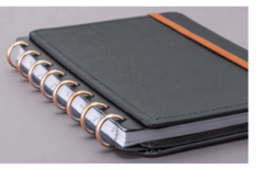 DISCOS + ELASTICO ROSE GOLD - G (31MM) - CADERNO INTELIGENTE - comprar online