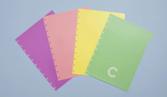 DIVISÓRIAS PASTEL - GRANDE CADERNO INTELIGENTE