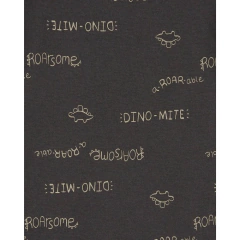 Pack x 5 Body Manga Corta "Dino" - Luna Lunita