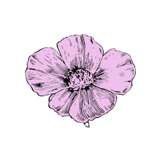 POPPY VINTAGE
