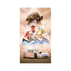 Poster Mariano Werner Ford TC Bicampeón