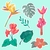 Planchas de stickers 10 x 10cm por 50 unidades - Sofite Soluciones Graficas