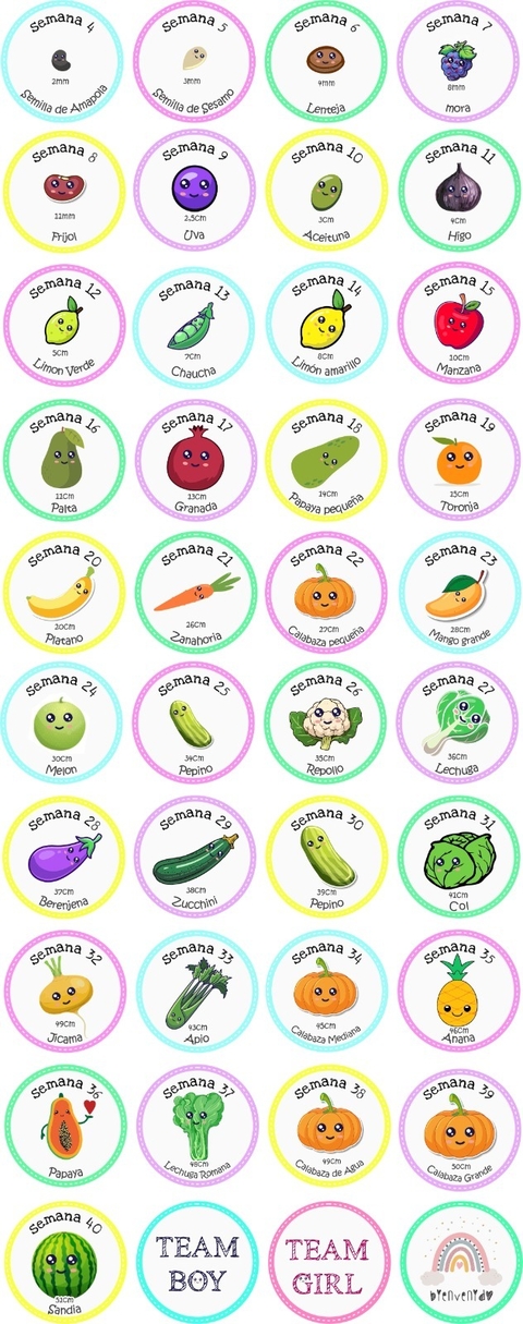 Stickers tu bebe semana a semana