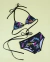 Bikini Sushine