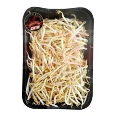 Brote de Soja x Bandeja