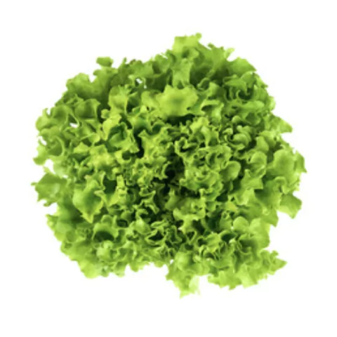 Lechuga Francesa x 1/2 Kilo